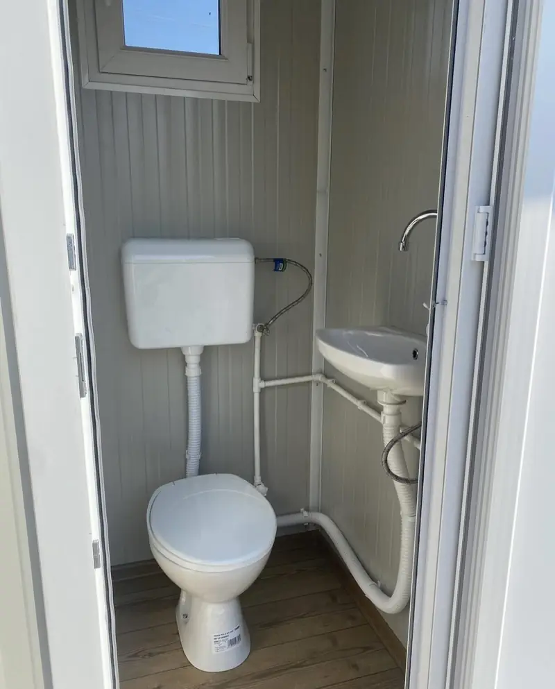 Inside a luxury restroom cabin: flush toilet and small sink