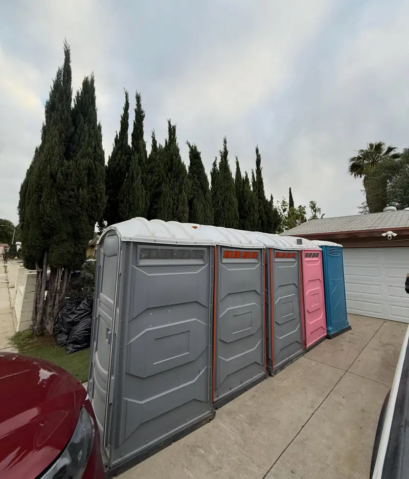 Row of standard portable toilets along a residential driveway